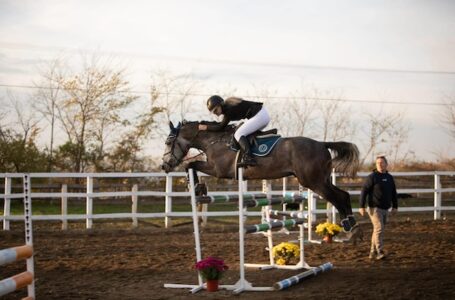 Srcem kroz prepreke: Mladi jahači zasijali na hipodromu u Preljini
