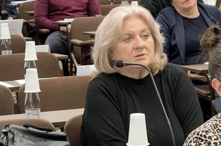 Topalović postavila pitanja o radu „Impulsa 2019“ i izboru direktora