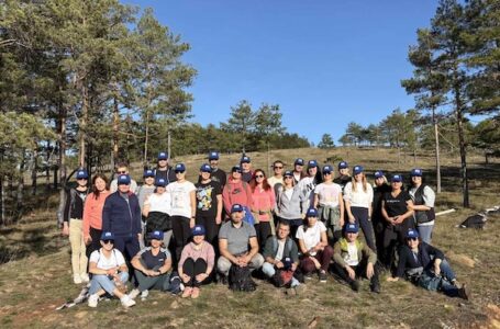 Metalac zasadio 600 sadnica crnog bora na Divčibarama