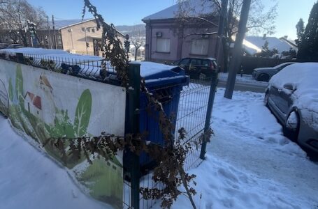 APEL IZ JKP: Badnjak nije otpad, ne bacajte ga u kontejnere niti pored njih