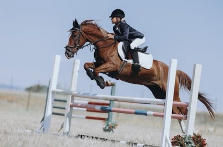 Mila i Jadran u galopu do pobeda