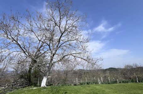 Promenljivo oblačno sa sunčanim intervalima, temperatura do 24 stepena
