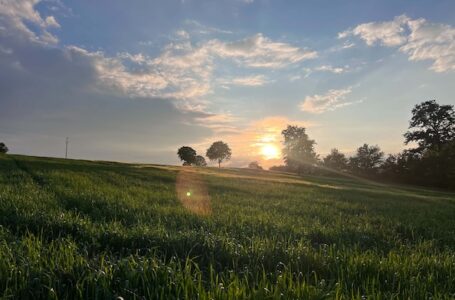 Sunčano i toplo, temperatura do 31 stepen