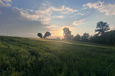 U većem delu Srbije pretežno sunčano, najviša dnevna temperatura 29 stepeni