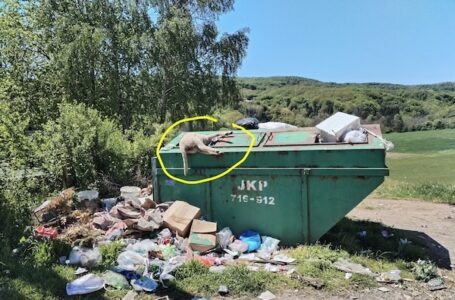 „Slike naše (ne)kulture“: čitalac iz Milanovca o otpadu, sramoti i rešenjima