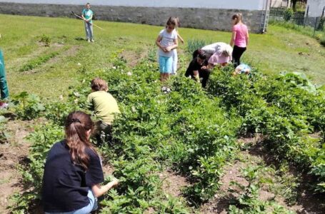 „Naša bašta – učionica na otvorenom“: Kako su učenici iz Ugrinovaca učili kroz rad u školskoj bašti