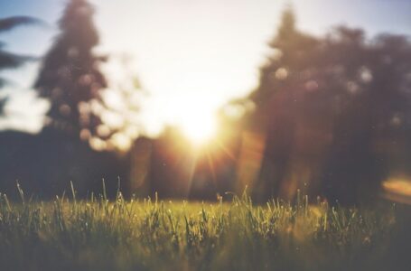 Sunčano, popodne kratkotrajna kiša u nekim delovima – temperatura do 36 stepeni