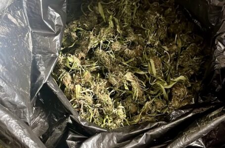 Kod Čačka uhapšene dve osobe, pronađeno 5,5 kilograma materije nalik na kanabis